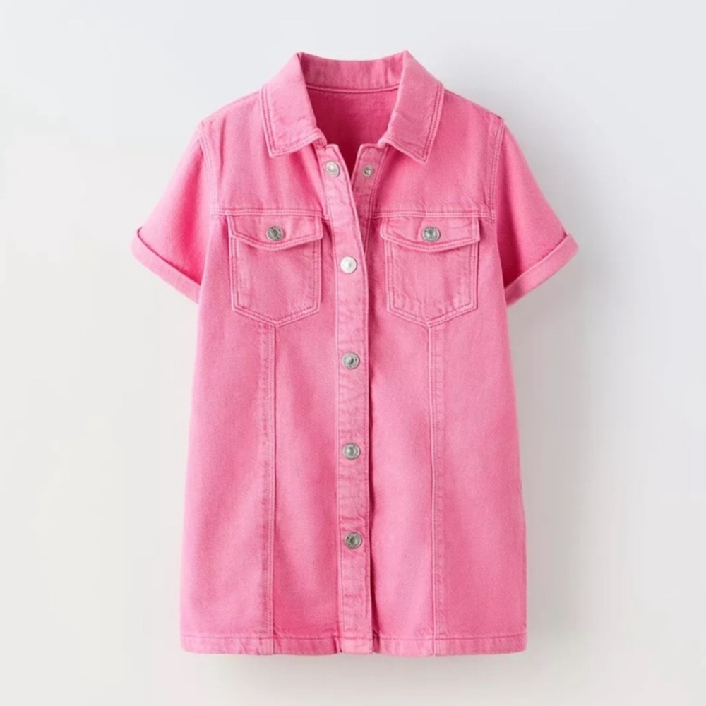 Zara Pink Denim Dress